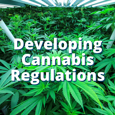 Developing Cannabis Regulations