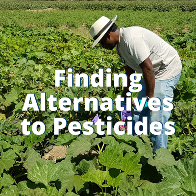 Finding Alternatives to Pesticides