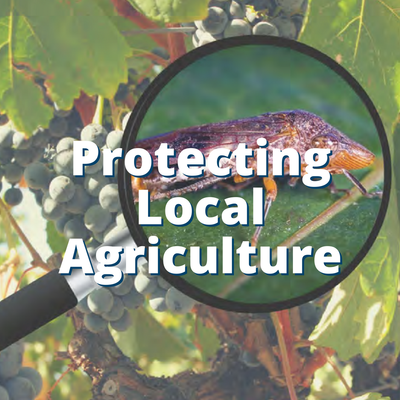 Protecting Agriculture